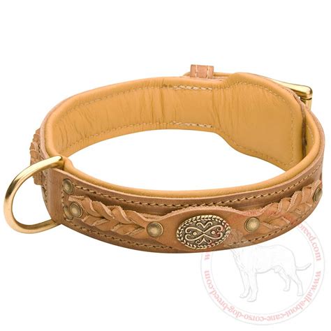 collars for english mastiffs|english mastiff dog necklace.